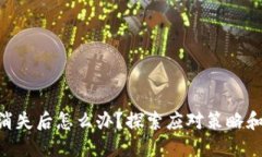 Tokenim消失后怎么办？探索应对策略和
