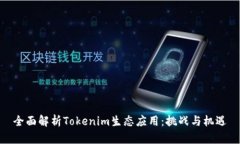 全面解析Tokenim生态应用：挑战与机遇