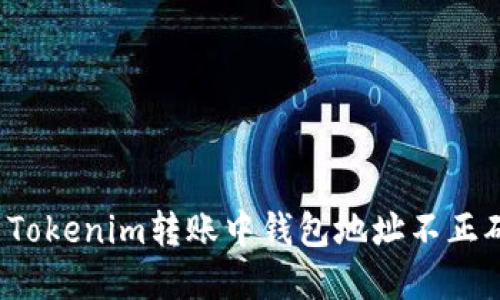 如何解决Tokenim转账中钱包地址不正确的问题?