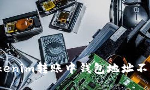 如何解决Tokenim转账中钱包地址不正确的问题?