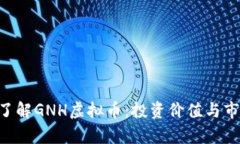 tiaoti深入了解GNH虚拟币：投资价值与市
