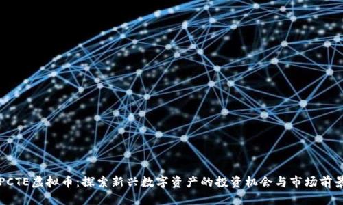 PCTE虚拟币:探索新兴数字资产的投资机会与市场前景