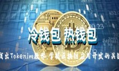 深入浅出Tokenim教学：掌握区块链应用开发的关键