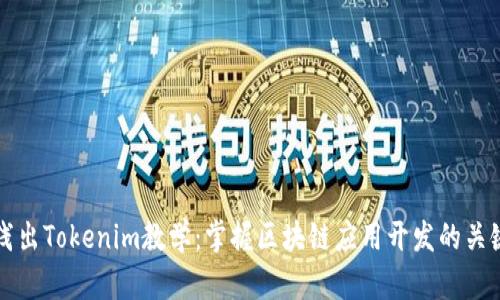 深入浅出Tokenim教学：掌握区块链应用开发的关键技巧
