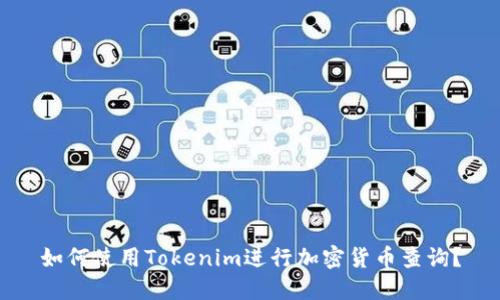 如何使用Tokenim进行加密货币查询？