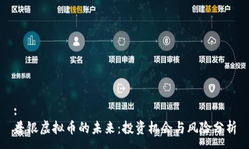 :
普银虚拟币的未来：投资机会与风险分析