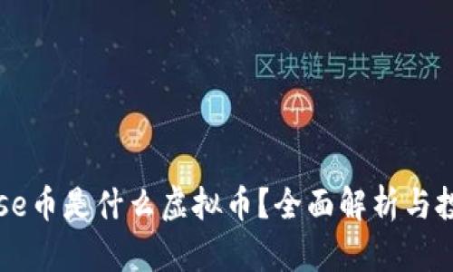 Everrise币是什么虚拟币？全面解析与投资前景