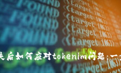 手机丢失后如何应对tokenim问题：一步步指导