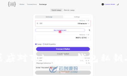 如何找回或应对Tokenim钱包私钥丢失的情况
