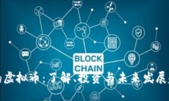 波扬虚拟币：了解、投资与未来发展趋势