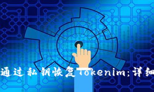 如何通过私钥恢复Tokenim：详细指南