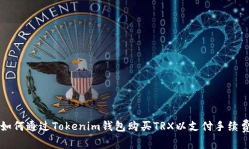 如何通过Tokenim钱包购买TRX以支付手续费