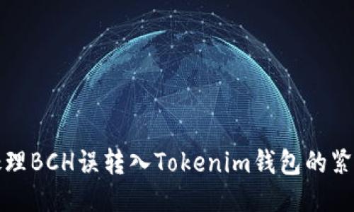 如何处理BCH误转入Tokenim钱包的紧急指南