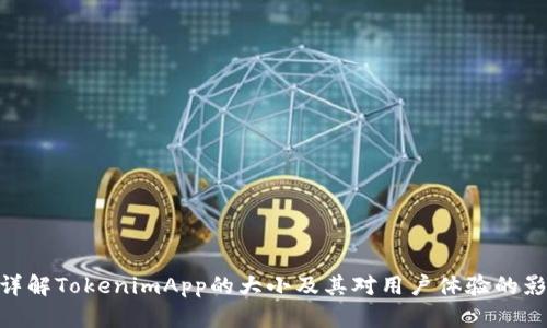 : 详解TokenimApp的大小及其对用户体验的影响