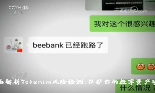 全面解析Tokenim风险检测：保护你的数字资产安全
