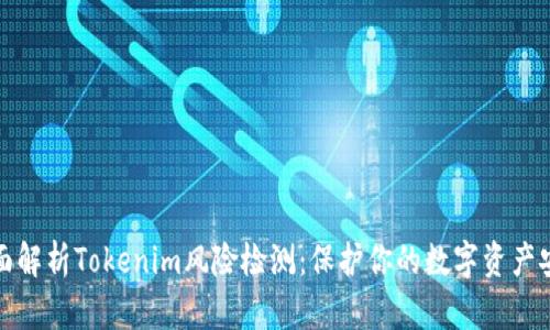 全面解析Tokenim风险检测：保护你的数字资产安全