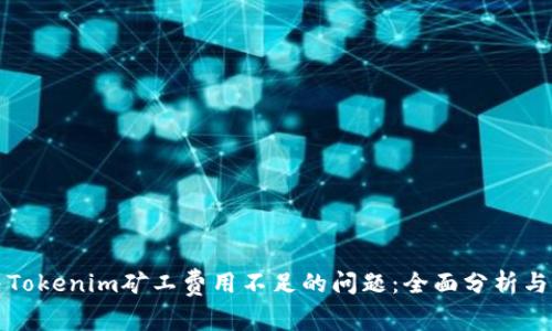 如何解决Tokenim矿工费用不足的问题：全面分析与解决方案