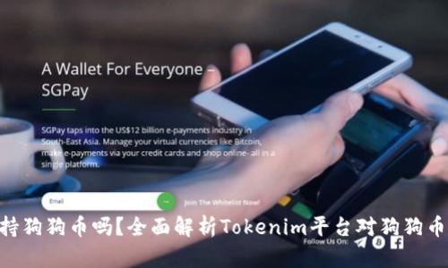 Tokenim支持狗狗币吗？全面解析Tokenim平台对狗狗币的支持情况
