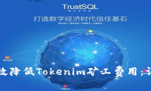 如何有效降低Tokenim矿工费用:详细指南