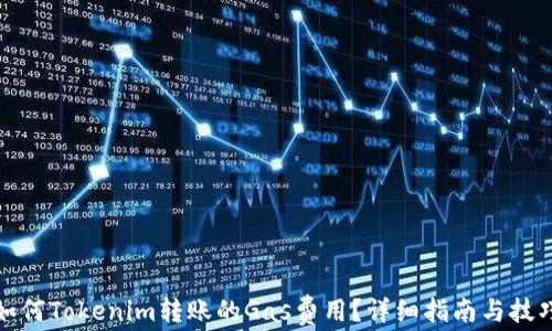 
如何Tokenim转账的Gas费用？详细指南与技巧