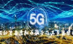 揭秘著名虚拟币骗子及其手法分析