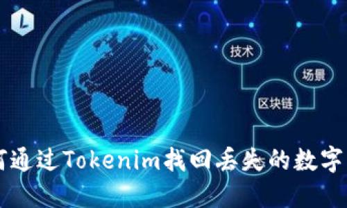如何通过Tokenim找回丢失的数字货币