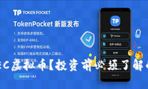 什么是CDEC虚拟币？投资前必须了解的关键要素