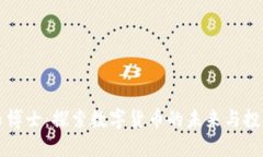 虚拟币博士：探索数字货币的未来与投