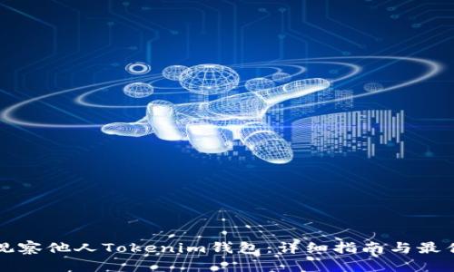 如何观察他人Tokenim钱包：详细指南与最佳实践