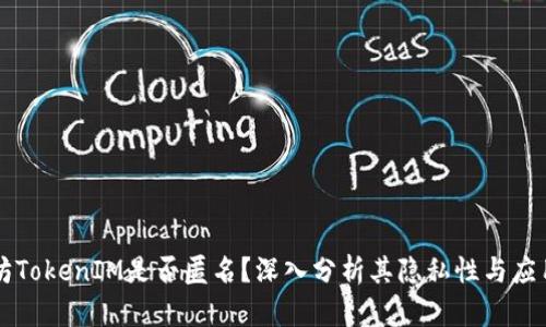 以太坊TokenIM是否匿名？深入分析其隐私性与应用场景