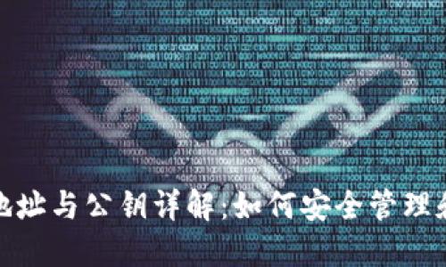 ### Tokenim地址与公钥详解：如何安全管理和使用区块链资产