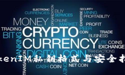 TokenIM私钥格式与安全指南