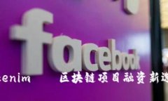 Tokenim — 区块链项目融资新选择