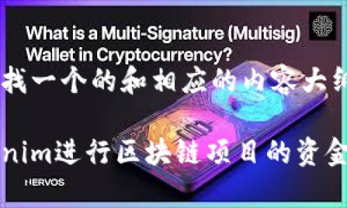 我明白您可能在寻找一个的和相应的内容大纲。下面是一个示例：

如何有效利用Tokenim进行区块链项目的资金管理