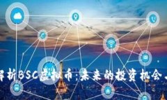 深入解析BSC虚拟币：未来的投资机会与