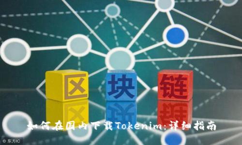如何在国内下载Tokenim：详细指南