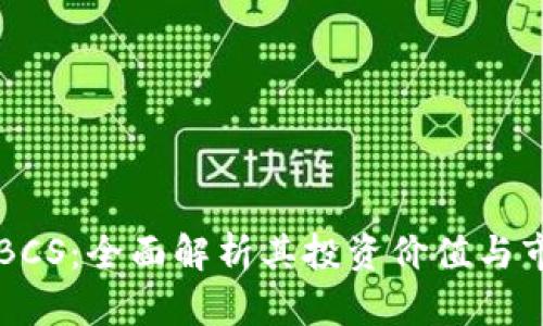 虚拟币BCS：全面解析其投资价值与市场前景