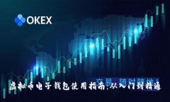 虚拟币电子钱包使用指南：从入门到精