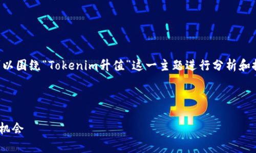 为了给出合适的  和相关内容，我们可以围绕“Tokenim升值”这一主题进行分析和探讨。下面是按照你的要求设计的内容。



Tokenim升值潜力分析：如何把握投资机会