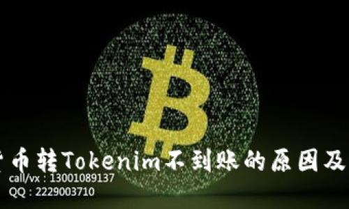 ### 货币转Tokenim不到账的原因及解决办法
