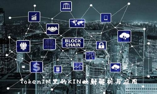 TokenIM里的KIN映射解析与应用