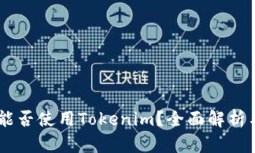 目前国内能否使用Tokenim？全面解析与用户指南