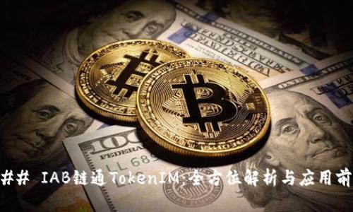 ### IAB链通TokenIM：全方位解析与应用前景