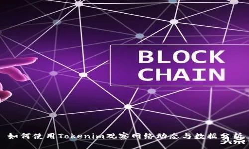 如何使用Tokenim观察网络动态与数据分析